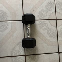 20 lb Dumbbell 