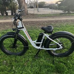 Rad Power Bikes Rad Rover Step Thru 1