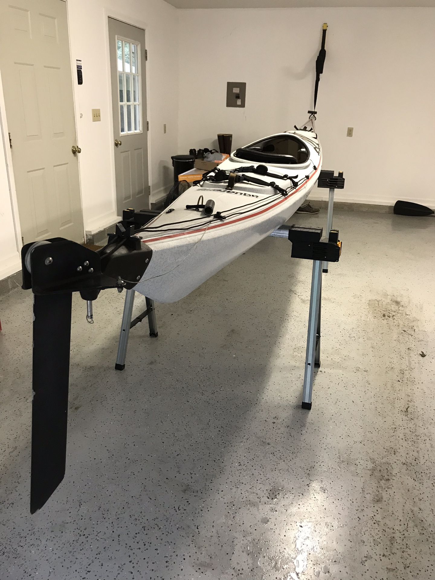 Perception Sea Lion Sea Kayak for Sale in Williamsburg, VA OfferUp