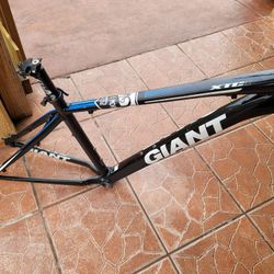 Giant Alux Sl Fluidform