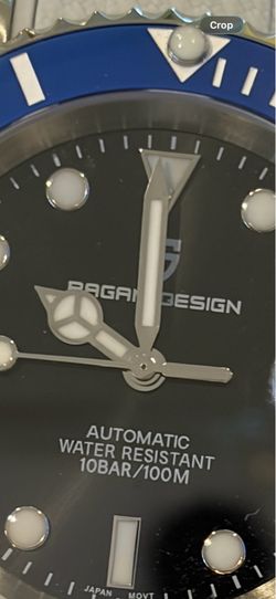 Pagani Design Brand  Men Automatic Sport Watch