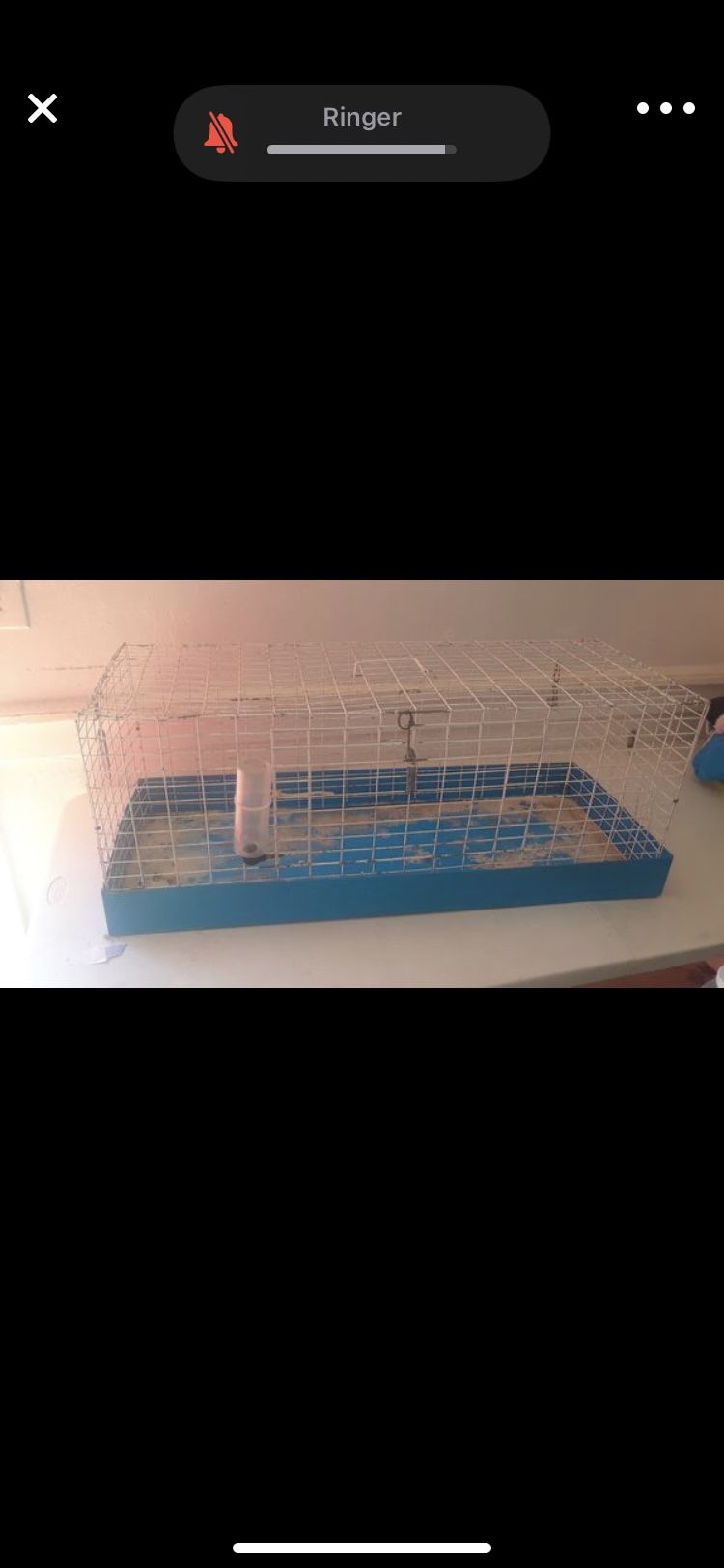 Hamster or Guinea pig (big cage )
