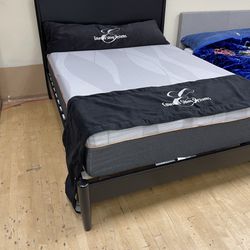 Queen Platform Bed Frame On Sale( Available In White Also)