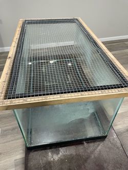Amphibian tank with lights, river rocks and turtle stand
