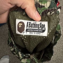 Bape Water Shorts 