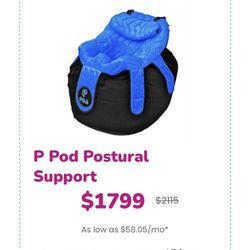 P pod Postural Support Chair