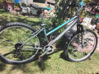 Nishiki Woman's MTB