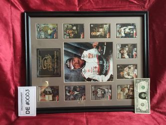 Dale Earnhardt