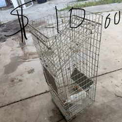 Cages