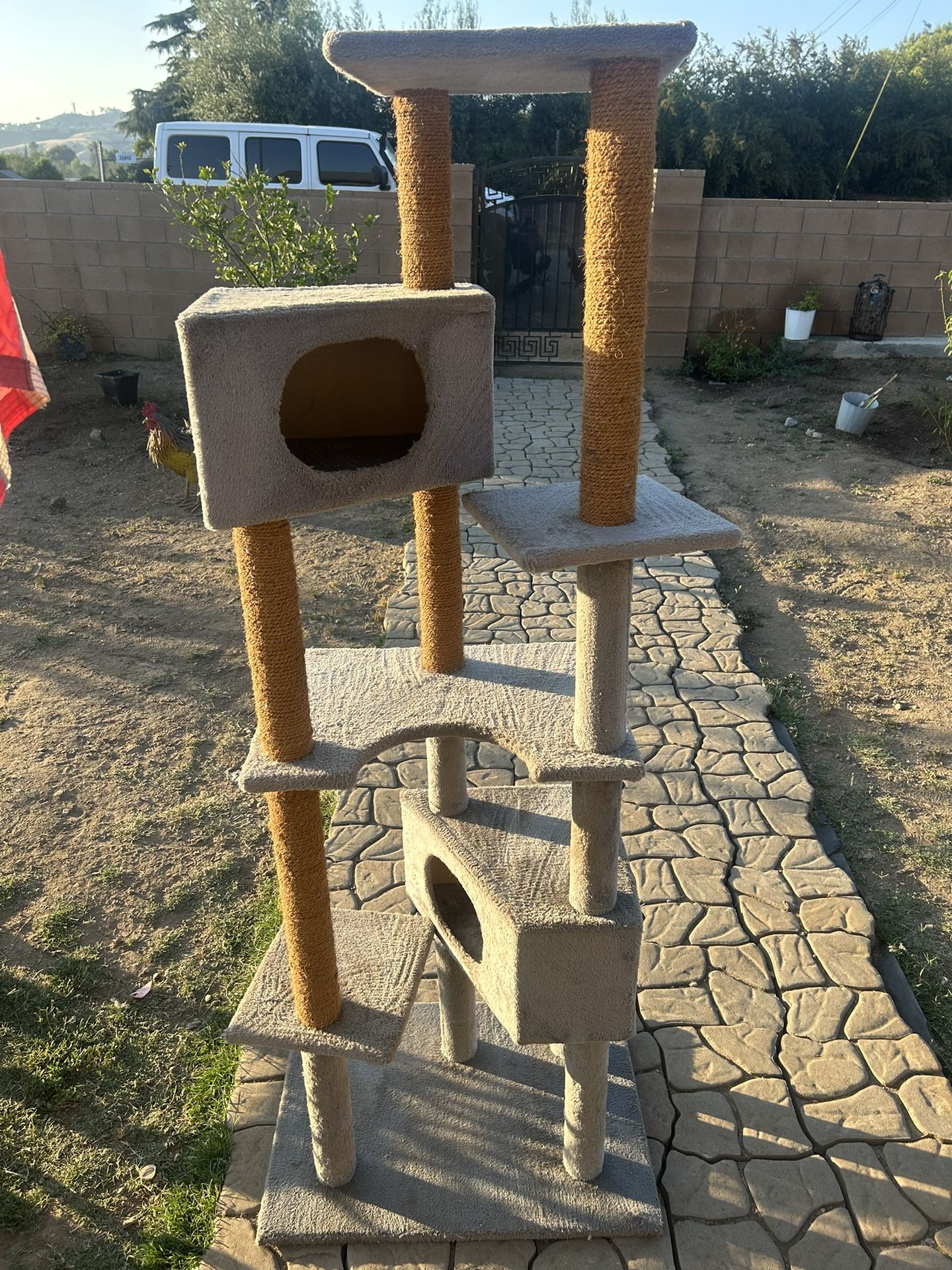 Cat Tree