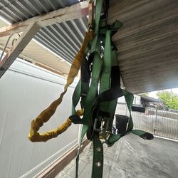 2 Xl Harness With Secure Strap 