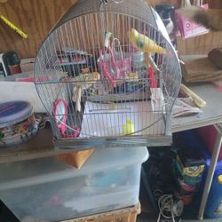 Parakeet Cage
