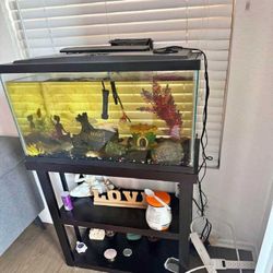 us Mr Complete Aquarium Kit – Discover an Underwater World