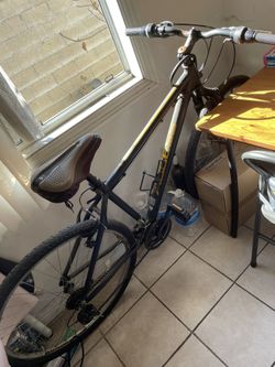 Bicycle/19" large