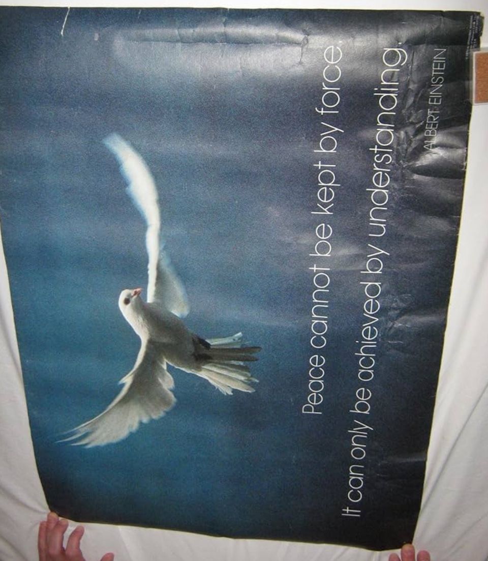Peace Cannot Be Kept By Force. It Can Only Be Achieved By Understanding. Albert Einstein 1973 Springbok Original Poster NIP