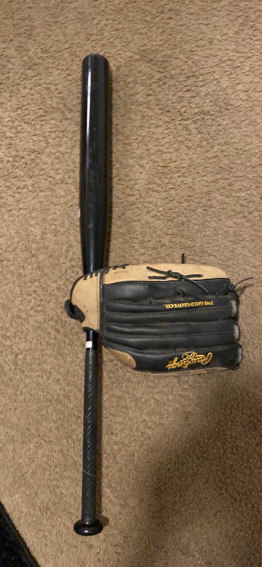 Baseball Bat With Gloves