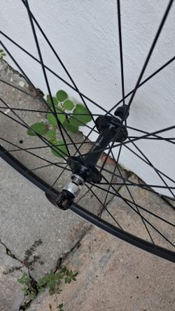 Origin 8 700c Road Bike Wheel $40 FIRM