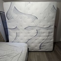 bed mattress 