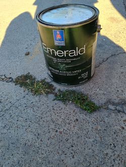 Paint interior