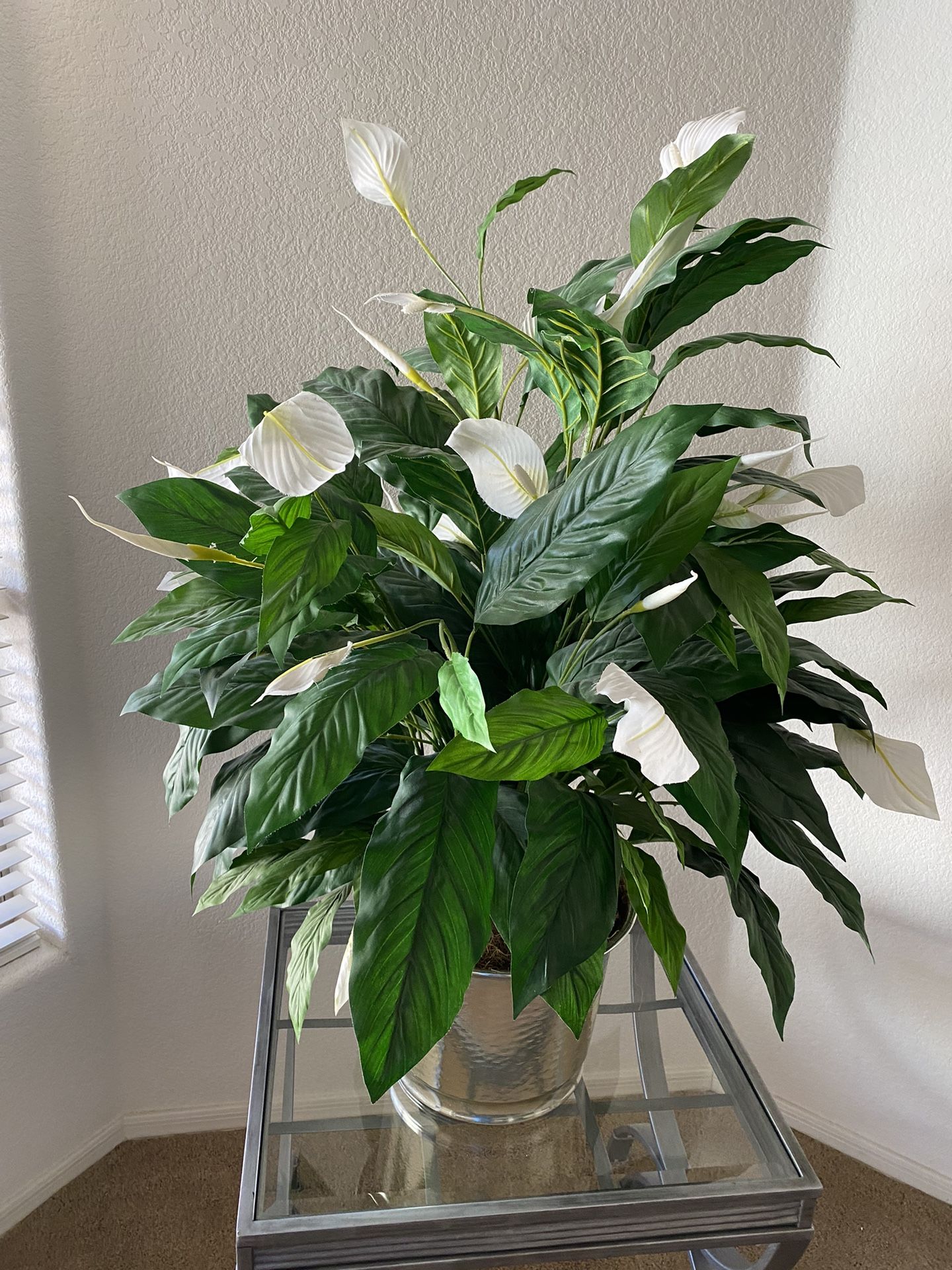 Silk Plant for Sale in Scottsdale, AZ OfferUp