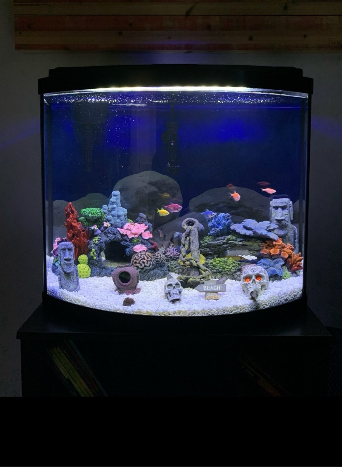 36 Gallon Aquarium