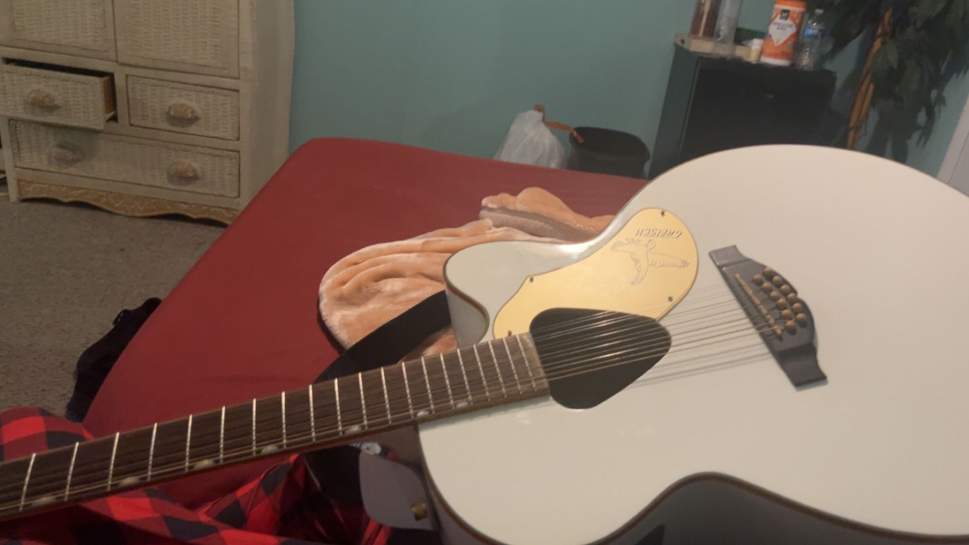 Caustic 12 String Guitar