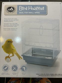 Bird Cage