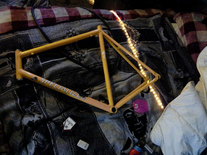 Special Bike Frame