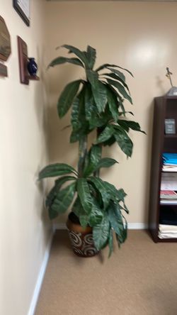 Artificial Plant