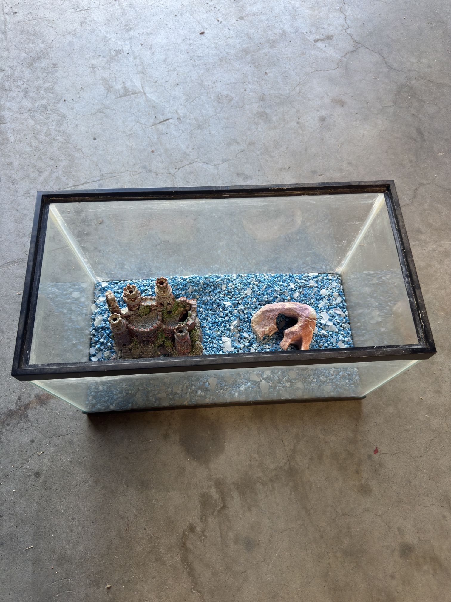 Fish Tank