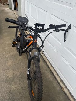 Ecotric electric bike