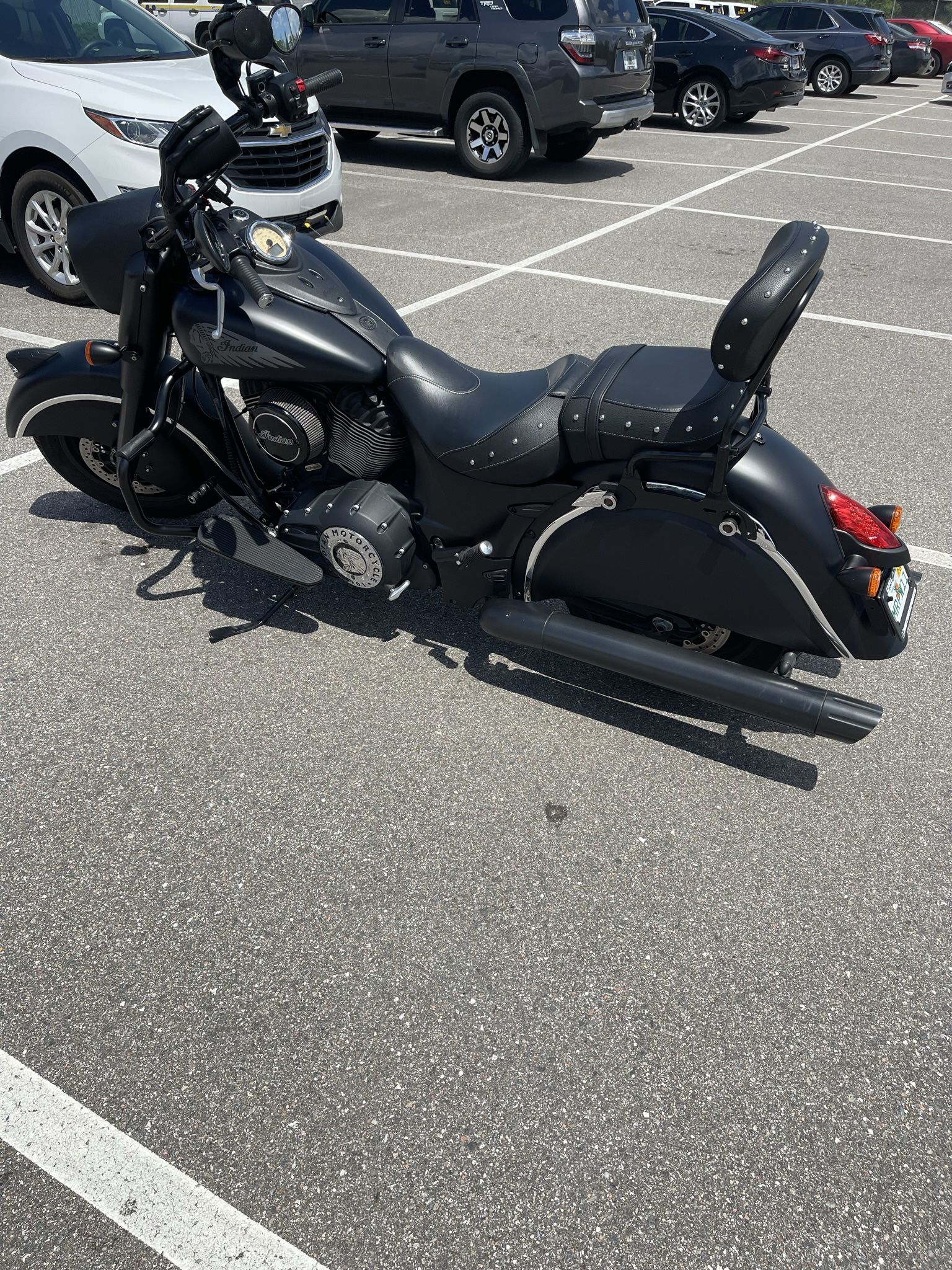 Indian Chief Darkhorse