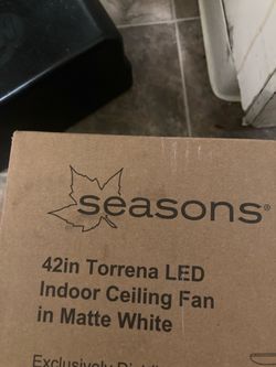 Ceiling fan