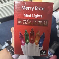 Merry Brite Mini Christmas Lights