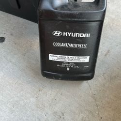 Hyundai Green Coolant 1 Gallon 