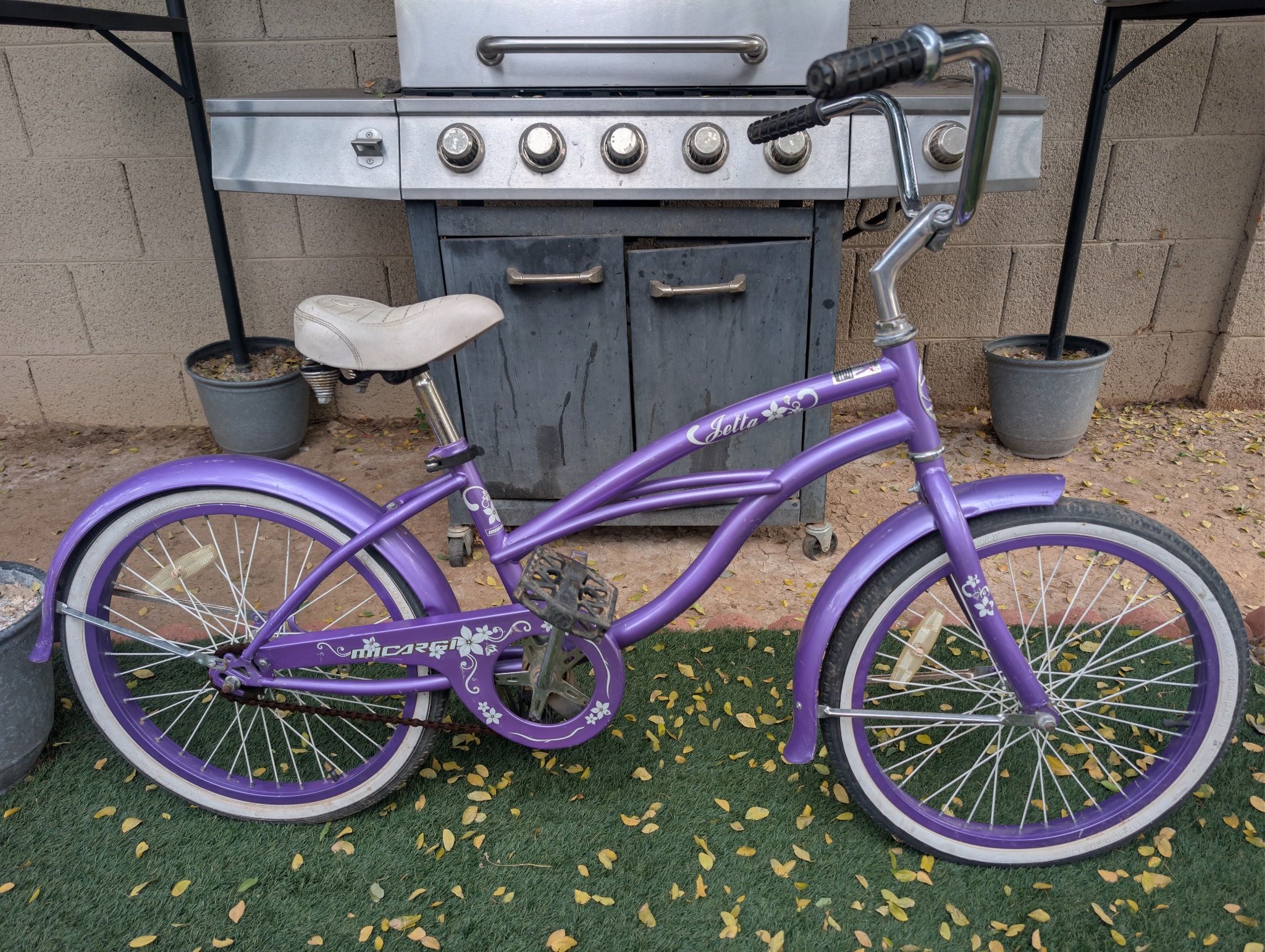 20"x2.35 MICARGI CRUISER GIRLS BIKE. FRESHLY TUNE UP ππΌ