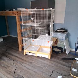 Bougie Cat House