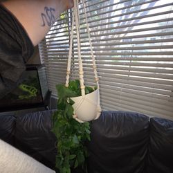 Fake Hanging Plant
