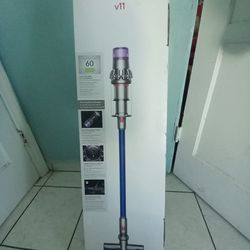 Dyson V11