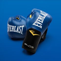 12oz Everlast Boxing Gloves