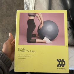 Stability Ball From Target Brand New 
