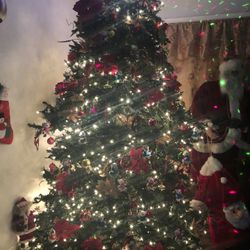 Christmas Tree🎄
