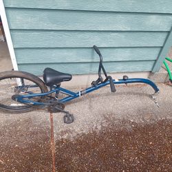 Schwinn Behind Attachment Bicycle 