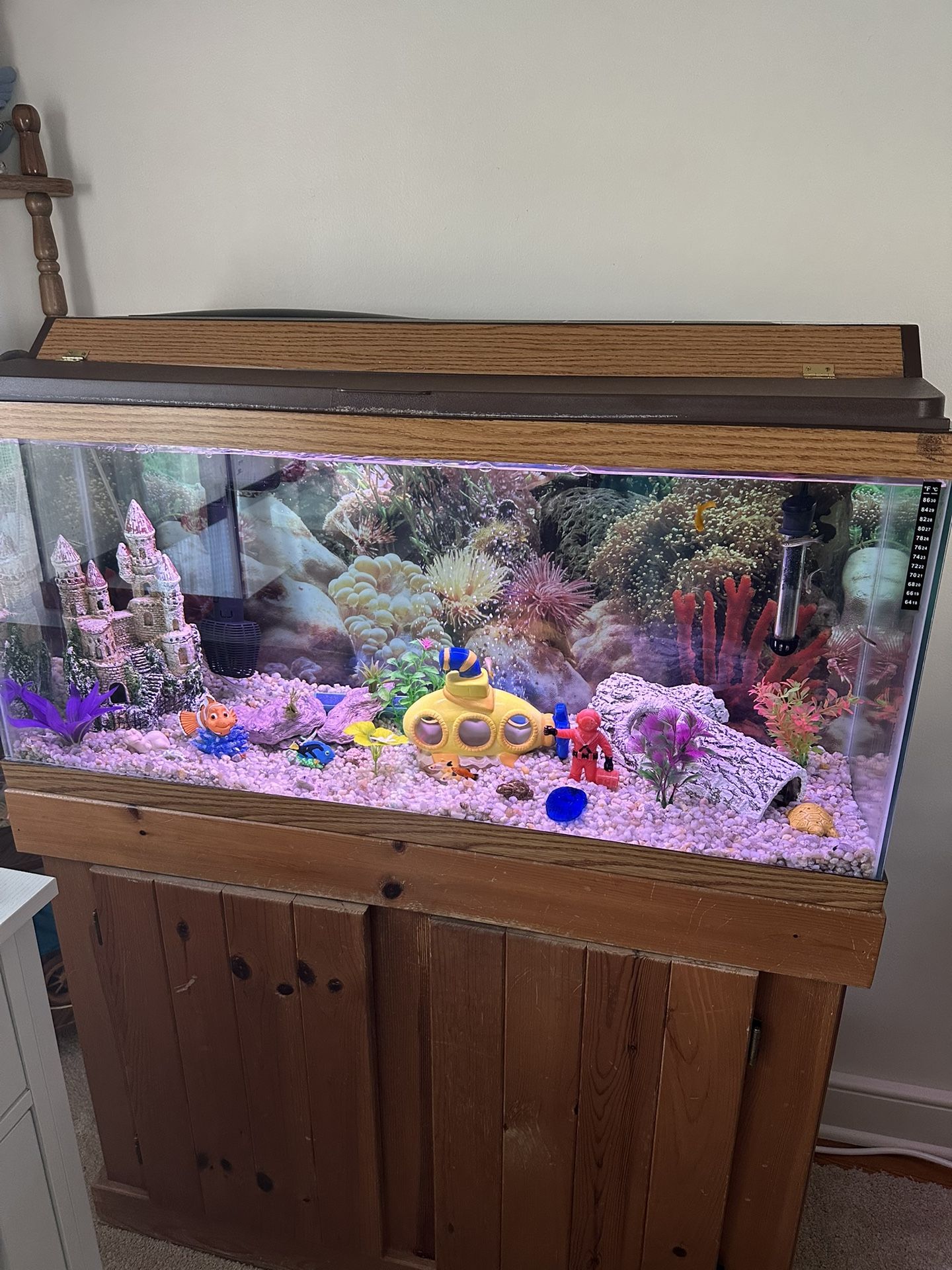 MAKE ME AN OFFER!!! MOVING MUST GO! 29 Gallon Aquarium With Stand