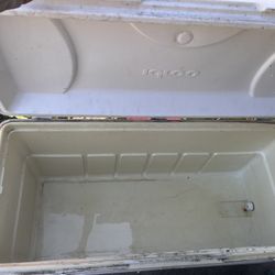 Igloo Maxcold Cooler