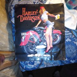 Genuine Harley Davidson Metal Garage Sign HD Wash Babe Sign By Ande Rooney 2008