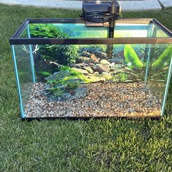 10 Gallon Fish Tank