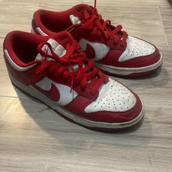 Nike Dunks M(10.5)