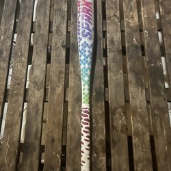 Girls softball bat