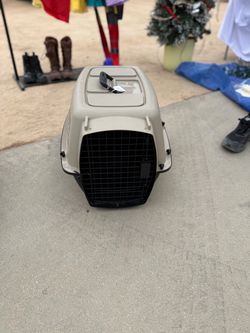 Hard Shell Pet Travel Carrier Crate